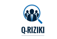 logo_ins